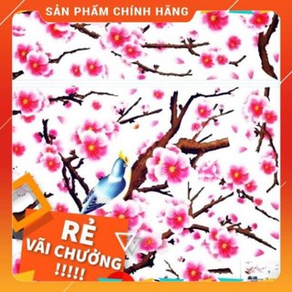 Decal đào mai 3D dán tường,dán kính khổ lớn