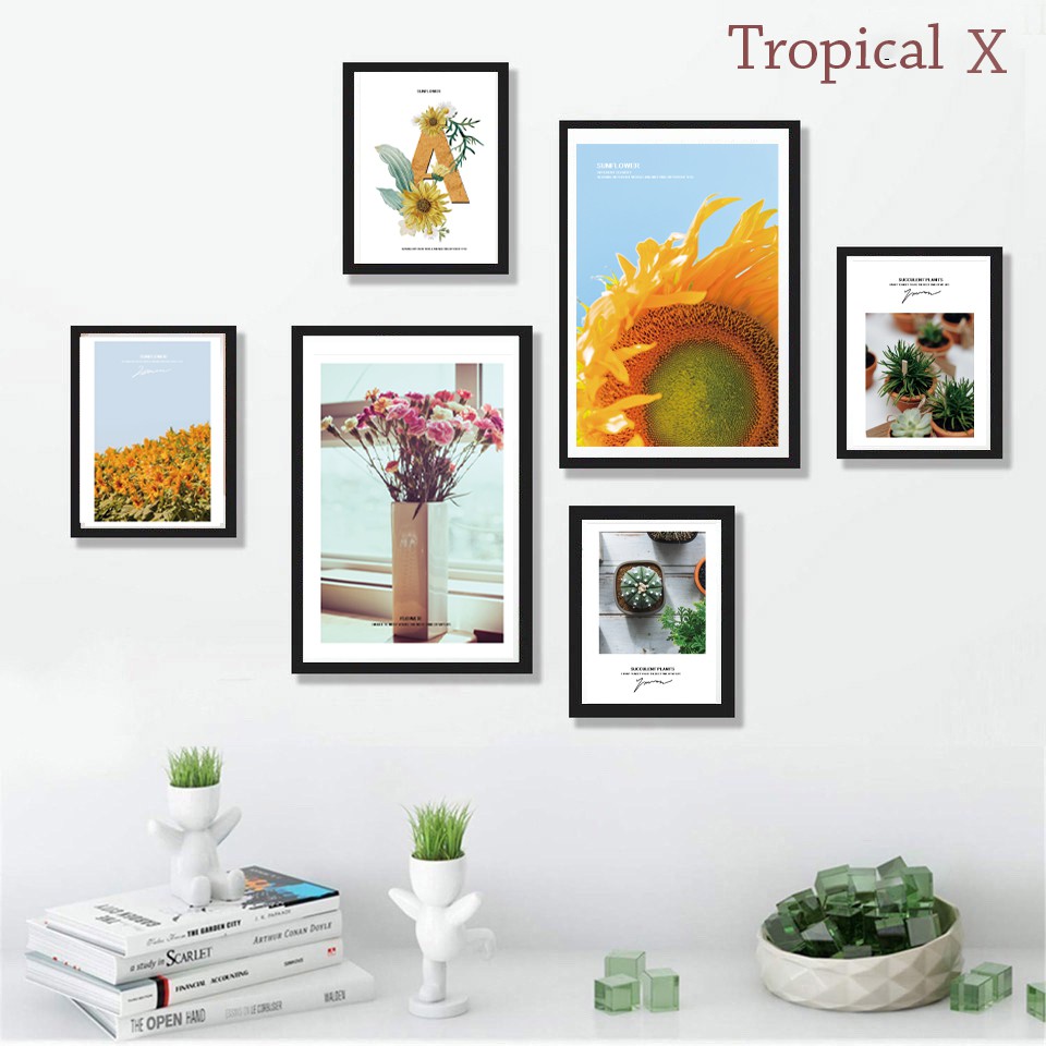 SET 6 TRANH TREO TƯỜNG TROPICAL ĐÃ CÓ KHUNG