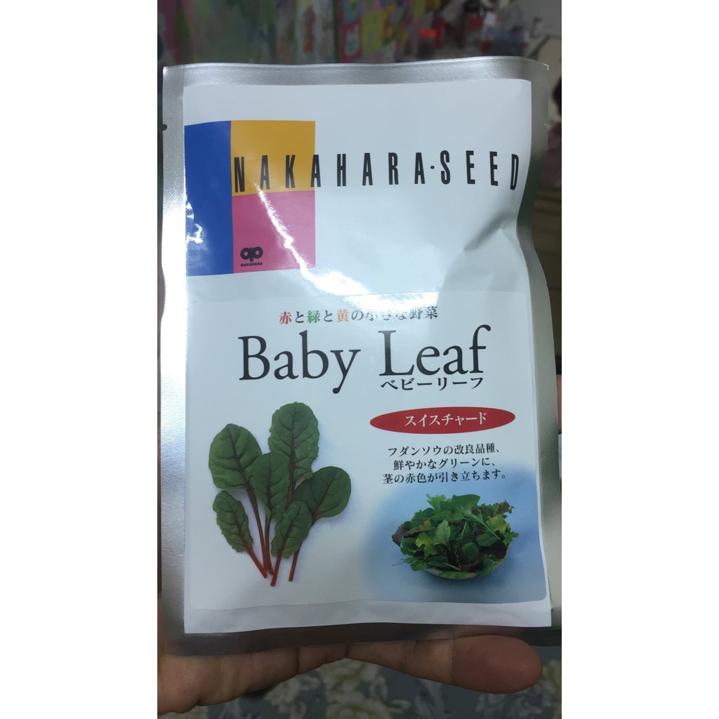 ATP Farm - Hạt giống cải CẦU VÒNG SWISS CHARD BABYLEAF - Nhật Bản