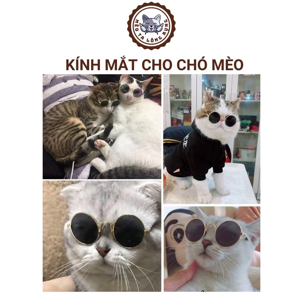 Phụ kiện chó mèo, kính cho mèo, kính cho chó, kính mắt thời trang cho chó mèo 8 cm