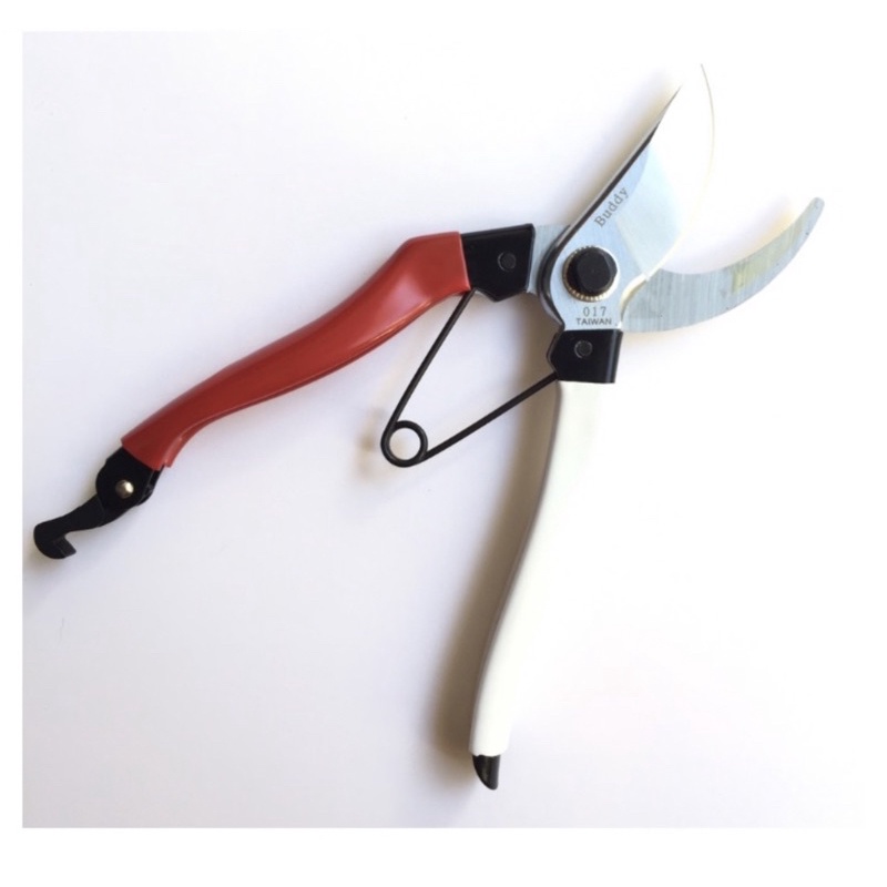 Kéo cắt cành BUDDY