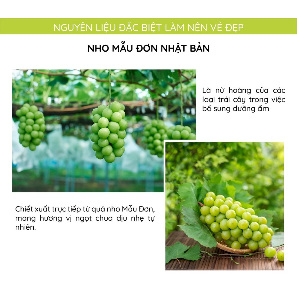 Thạch collagen jelly Aishitoto Nhật Bản vị nho mẫu đơn