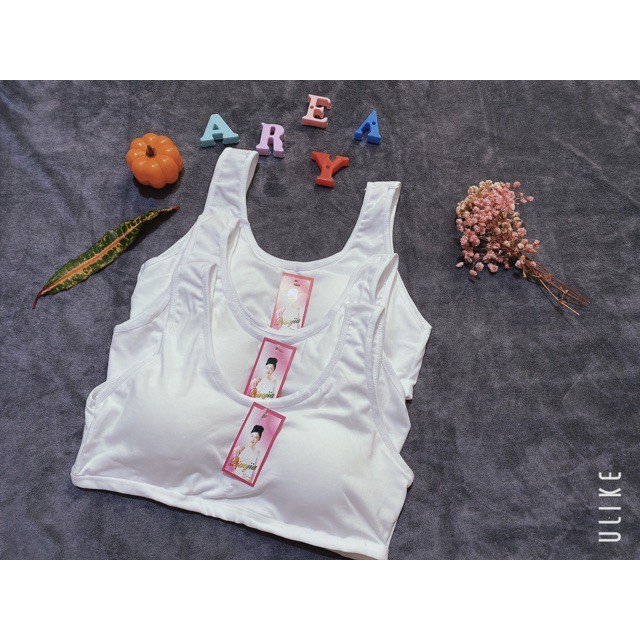 ♥️ Áo Cotton Rẻ ♥️ A227  Áo Bra Áo Lót Lá Cho Học Sinh Có Mút Tháo Ra Được
