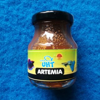 Artemia UHT Thái - thức ăn cho cá ấp sẵn
