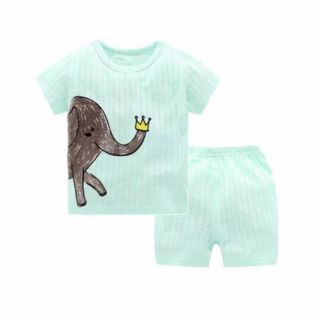 Combo 4 bộ cotton giấy cho bé