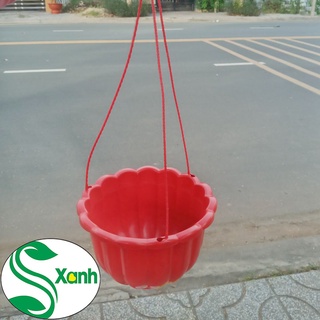 Chậu trồng cây treo size lớn