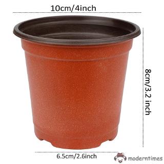 Set 100 Chậu Nhựa Trồng Cây