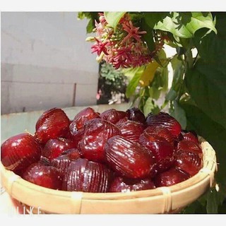 [22k/ Hủ 250g] MỨT TÁO SẤY DẺO THÁI LAN LẮC MUỐI ỚT🍎