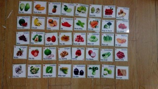 combo thẻ flash card