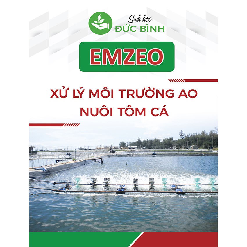 Men vi sinh xử lý nước ao nuôi tôm cá - Khử khí độc ao nuôi tôm cá