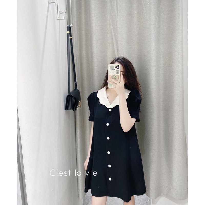 Váy đen cổ trắng kem | BigBuy360 - bigbuy360.vn