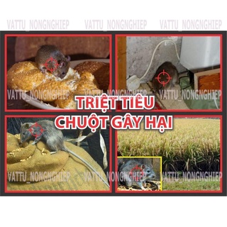 20 gói thuốc chuột Storm 0.005% ( 4 viên/ gói) - CHLB Đức