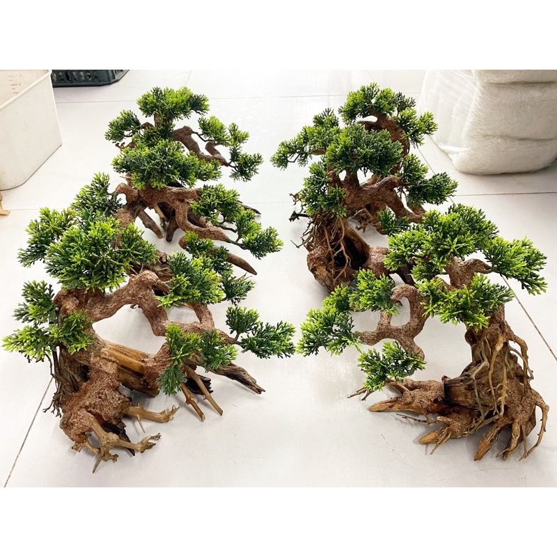 Cây bonsai trang trí hồ cá , cây đã qua xử lý về là thả hồ