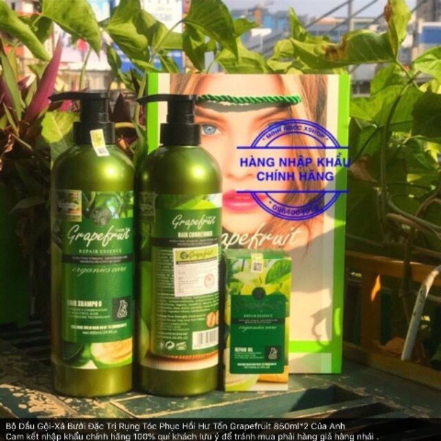 Cặp dầu bưởi trị rụng tóc