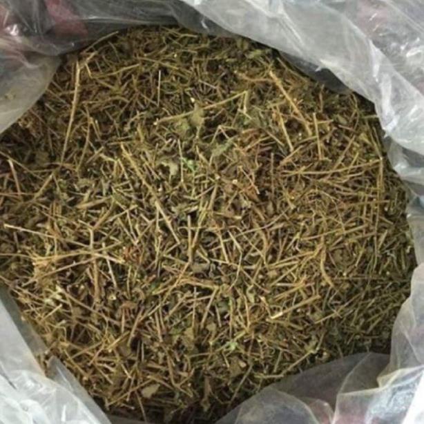 1kg Cà gai leo khô hàng chuẩn loại 1