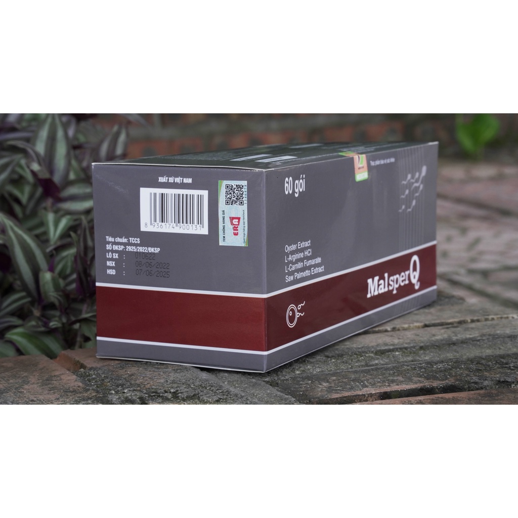 MALSPER Q- HỖ TRỢ SS NAM GIỚI TINH TRÙNG YẾU
