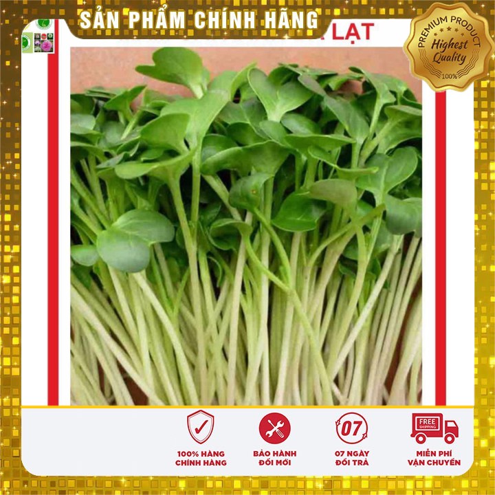 Hạt Giống Mầm Cải Ngọt