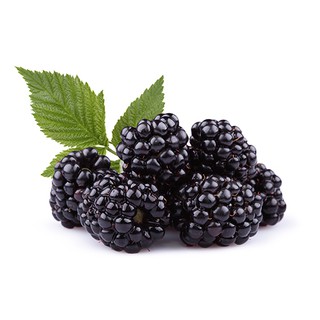 30h Hạt Giống Quả Mâm Xôi Đen Blackberry (Rubus Idaeus)