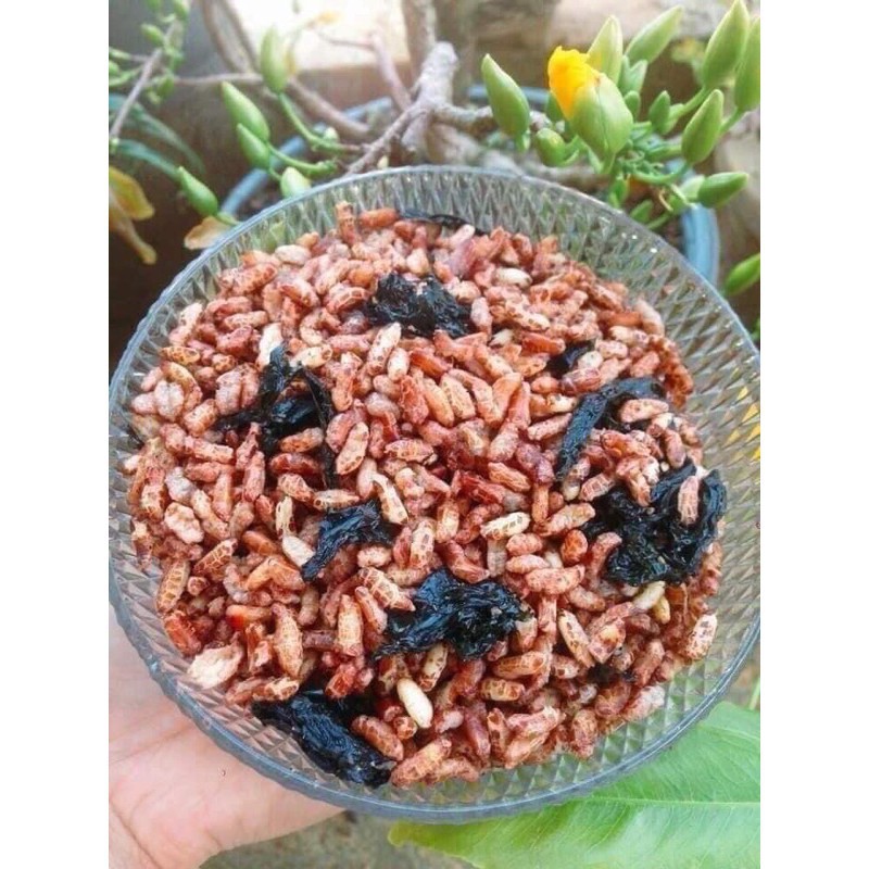 GẠO LỨT SẤY RONG BIỂN CƠM SẤY GẠO LỨT HŨ 300GR