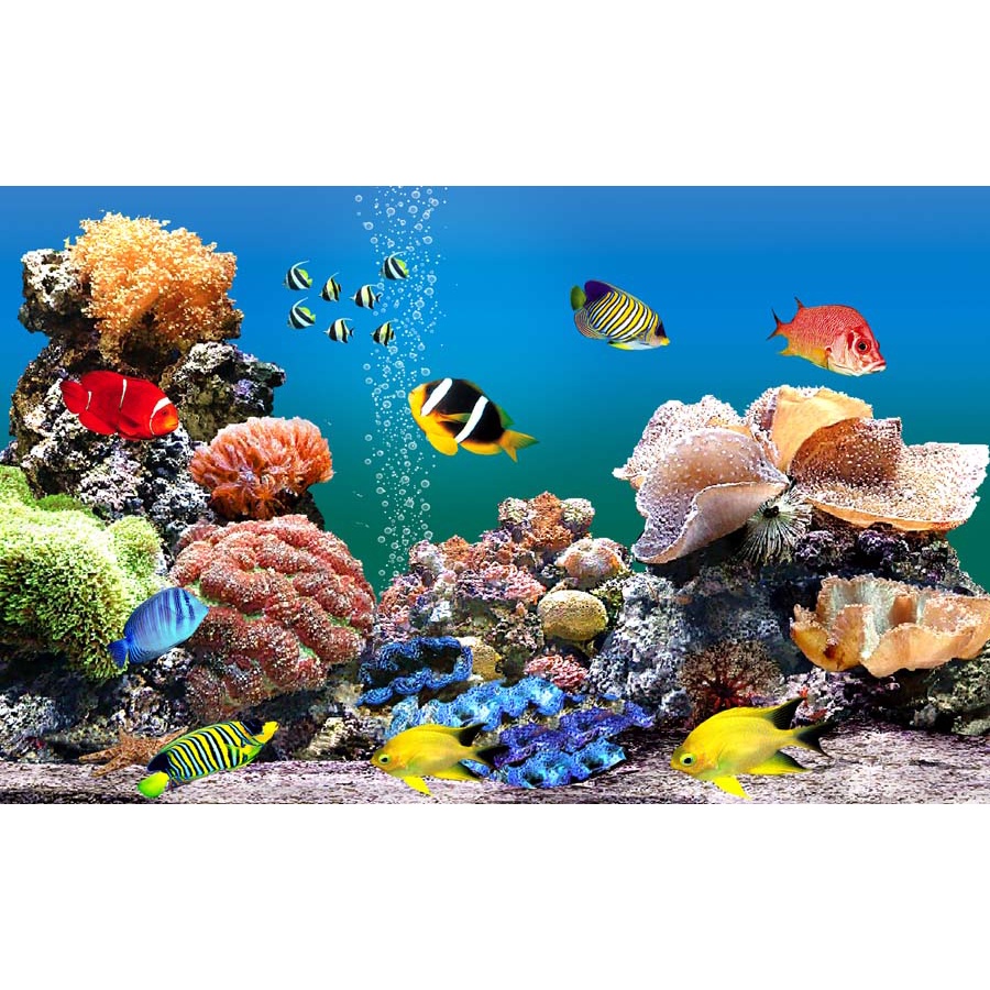 Tranh Dán Tường Thế Giới Đại Dương 3D Nhiều Kích Thước