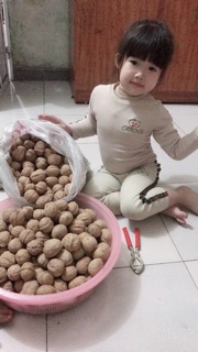 1KG QUẢ ÓC CHÓ NGON