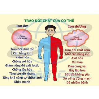 Bộ tạo ion âm 10 râu 100 triệu ion, công suất cao khử khói khử mùi