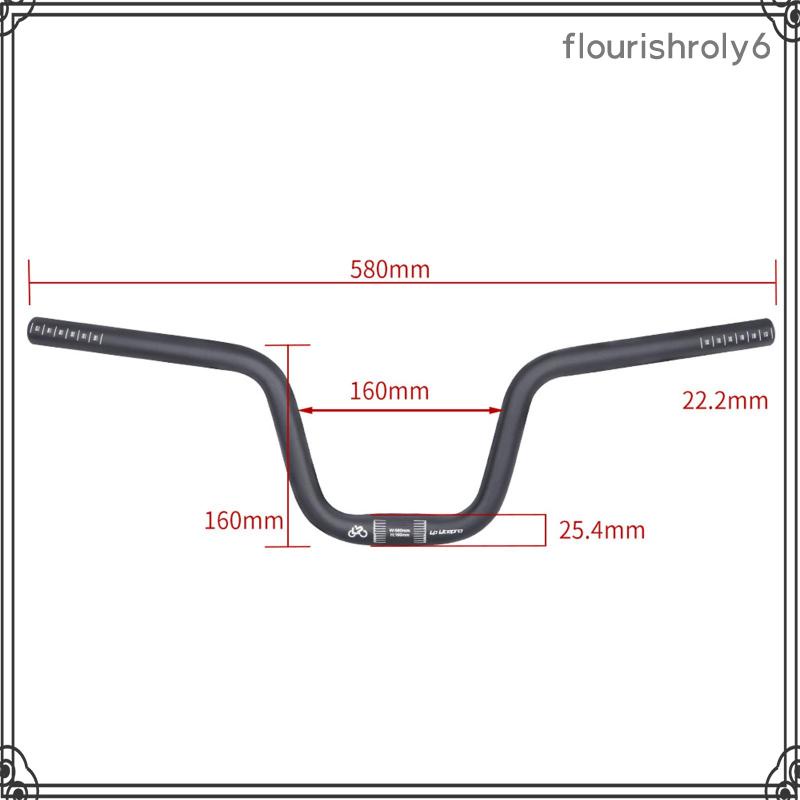 Tay Lái Xe Đạp Leo Núi flourishroly6 25.4mm 380 / 900mm Dài 600mm 30mm