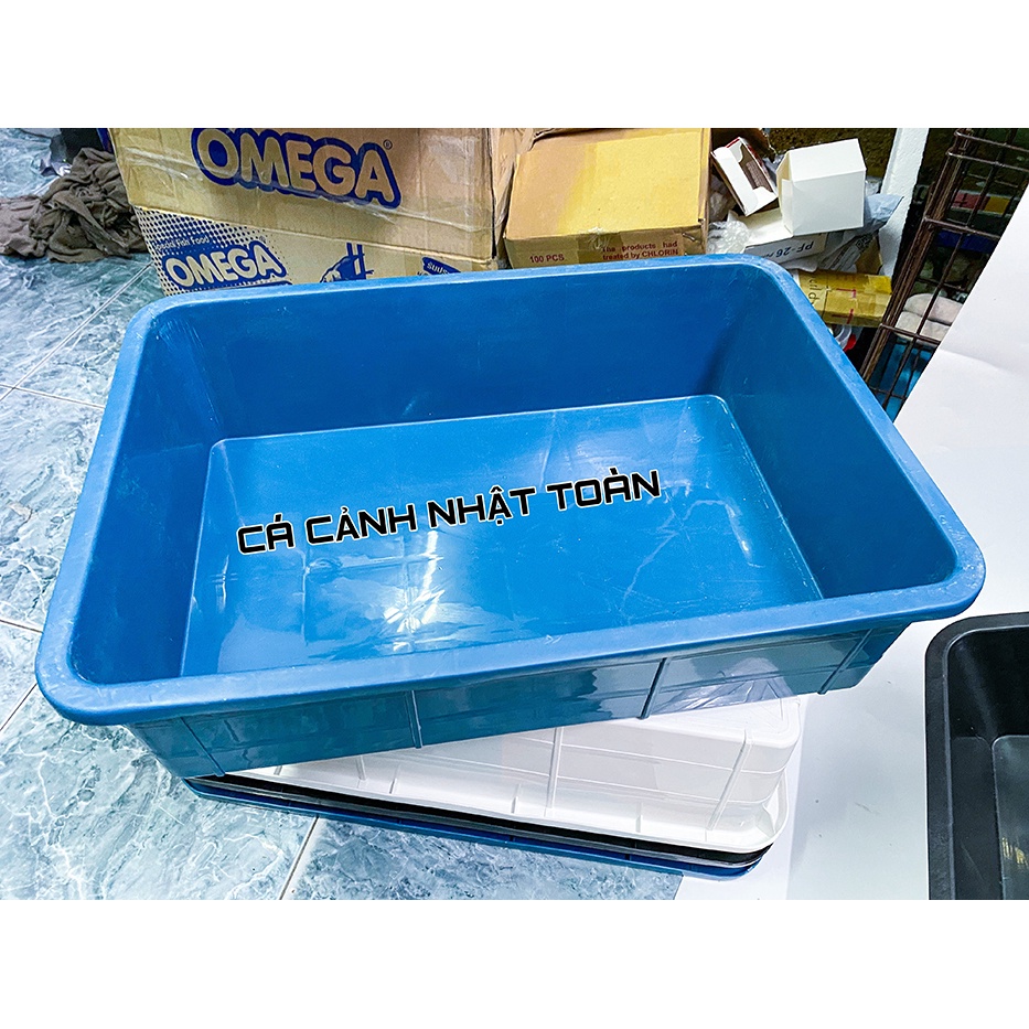 CÔNG NHỰA 16 LÍT NUÔI CÁ BẢY MÀU BETTA 50X35X13CM