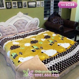 Chăn lông cừu hàng Việt nam