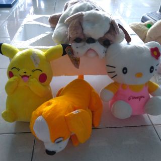 Gau của hiền thành