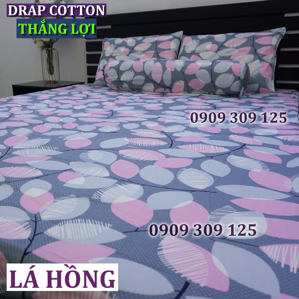 drap Thắng Lợi chính hãng cotton cao cấp mẫu LÁ HỒNG in logo | BigBuy360 - bigbuy360.vn