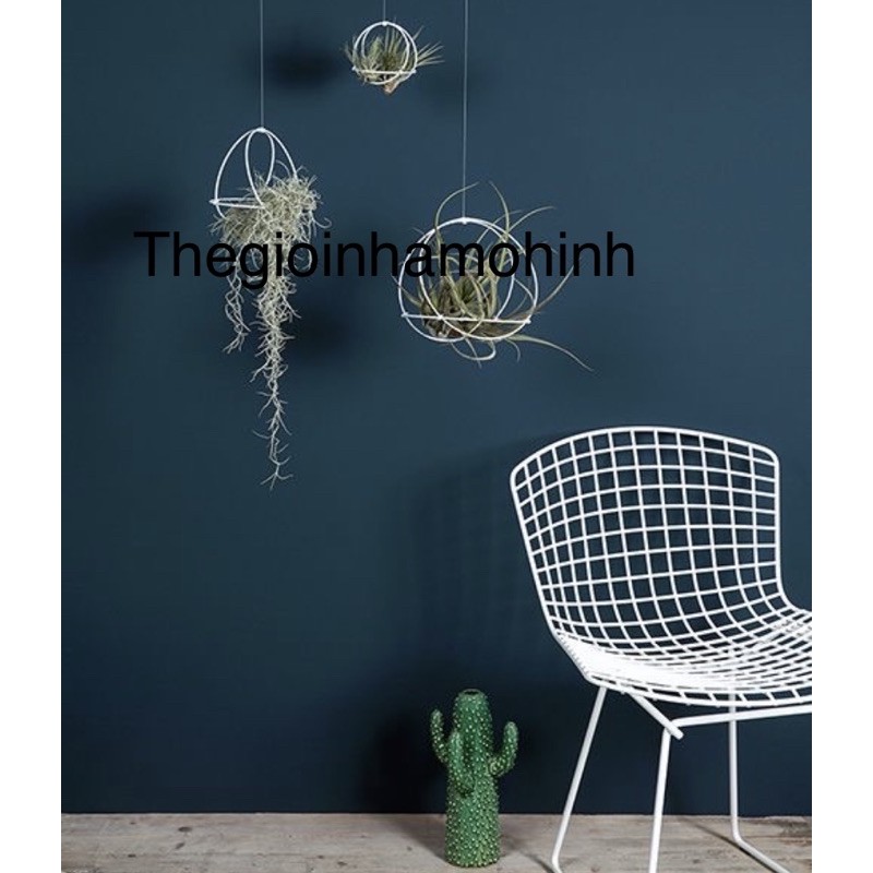 Giá treo cây, giá trồng cây không khí, kệ treo, decor, trang trí không gian