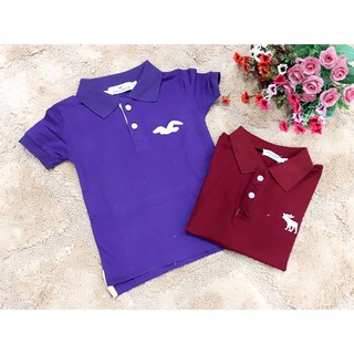 Áo thun Bé Trai Hollister Tím Trơn