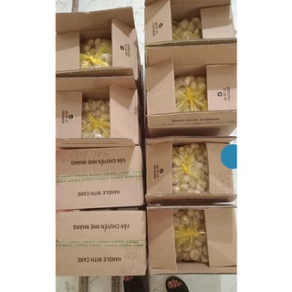 Men Ủ Rượu Cây Lá Men
