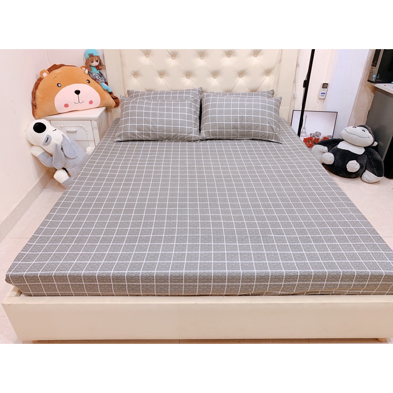 Ga Gối Polly Senky nhập các mẫu kẻ