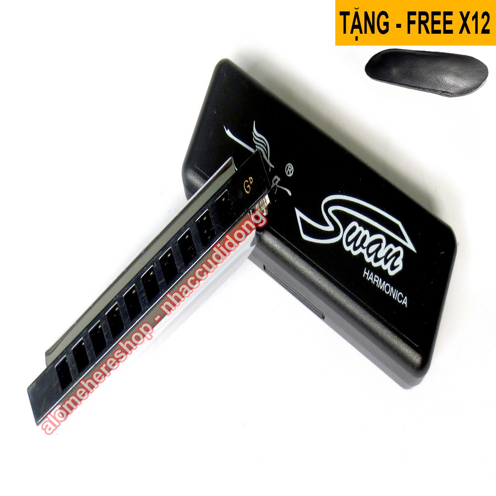 Combo 12 cây kèn harmonica Swan SW1020 10 lỗ Diatonic 12 Tone C/D/E/F/G/A/B/C#/D#/F#/G#/A#