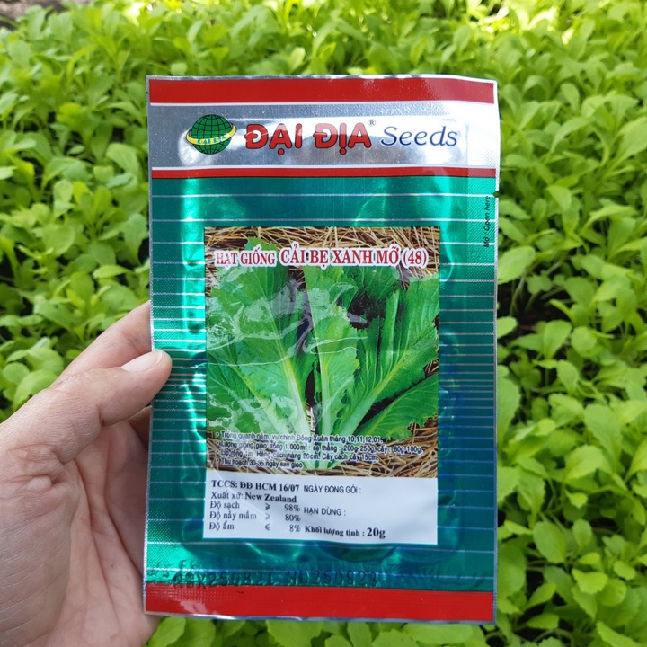 Hạt Giống CẢI BẸ XANH MỞ- Gói 20g: Phát Triển Mạnh, Kháng Sâu Bệnh, Trồng Được Quanh Năm