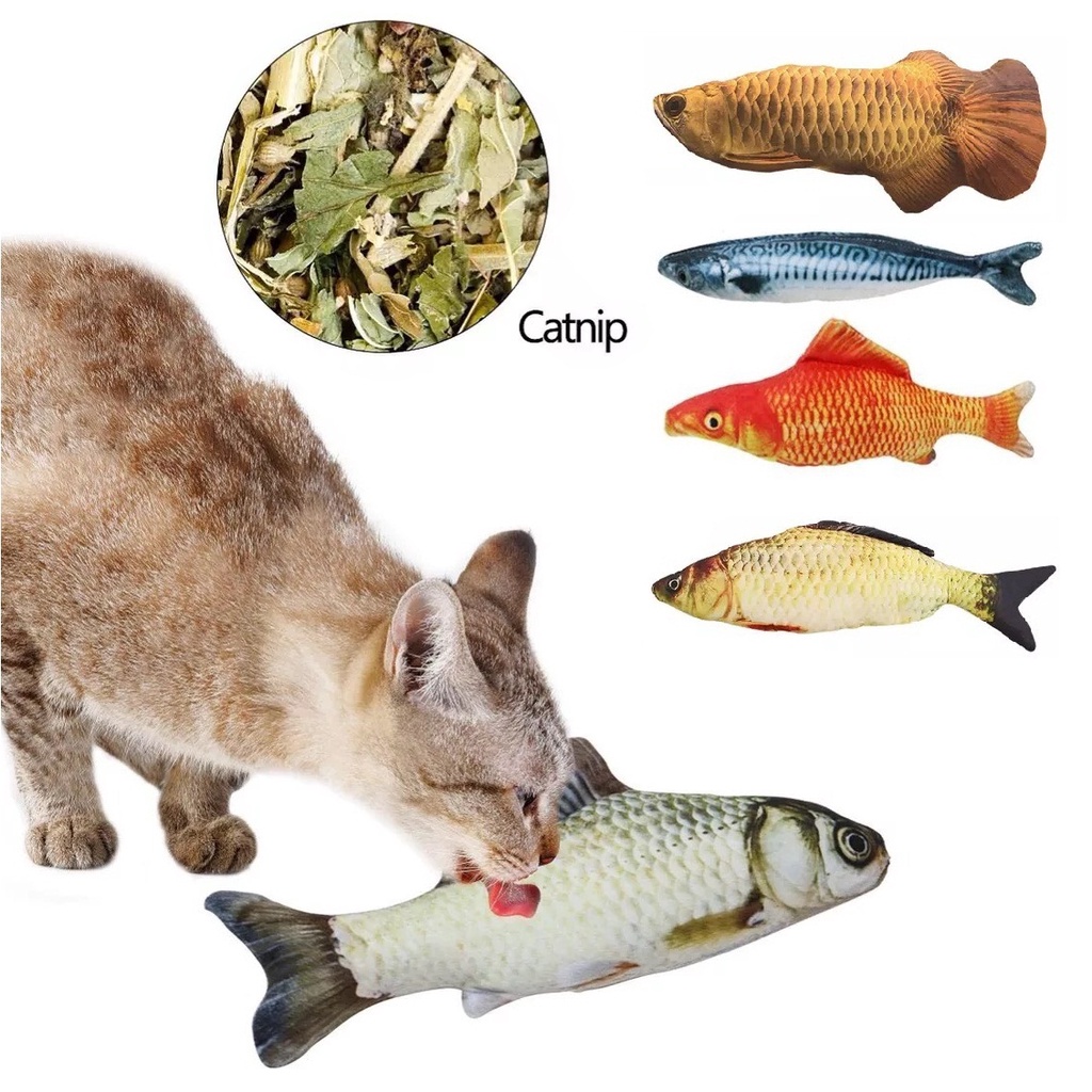 Đồ chơi cá bông cỏ mèo catnip cho mèo