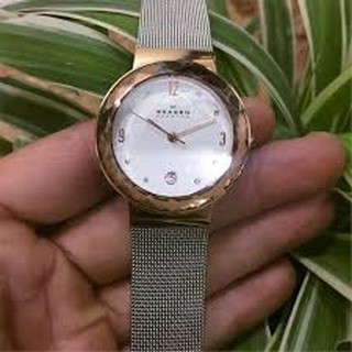 Đồng hồ nữ Skagen SKW2002