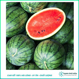 Hạt Giống Dưa Hấu Lai F1 HMTD74 Thiên Sơn 10Hạt/gói - Sinh Trưởng Mạnh, Kháng Bệnh Virus Rất Tốt, Khả Năng Đậu Trái Cao