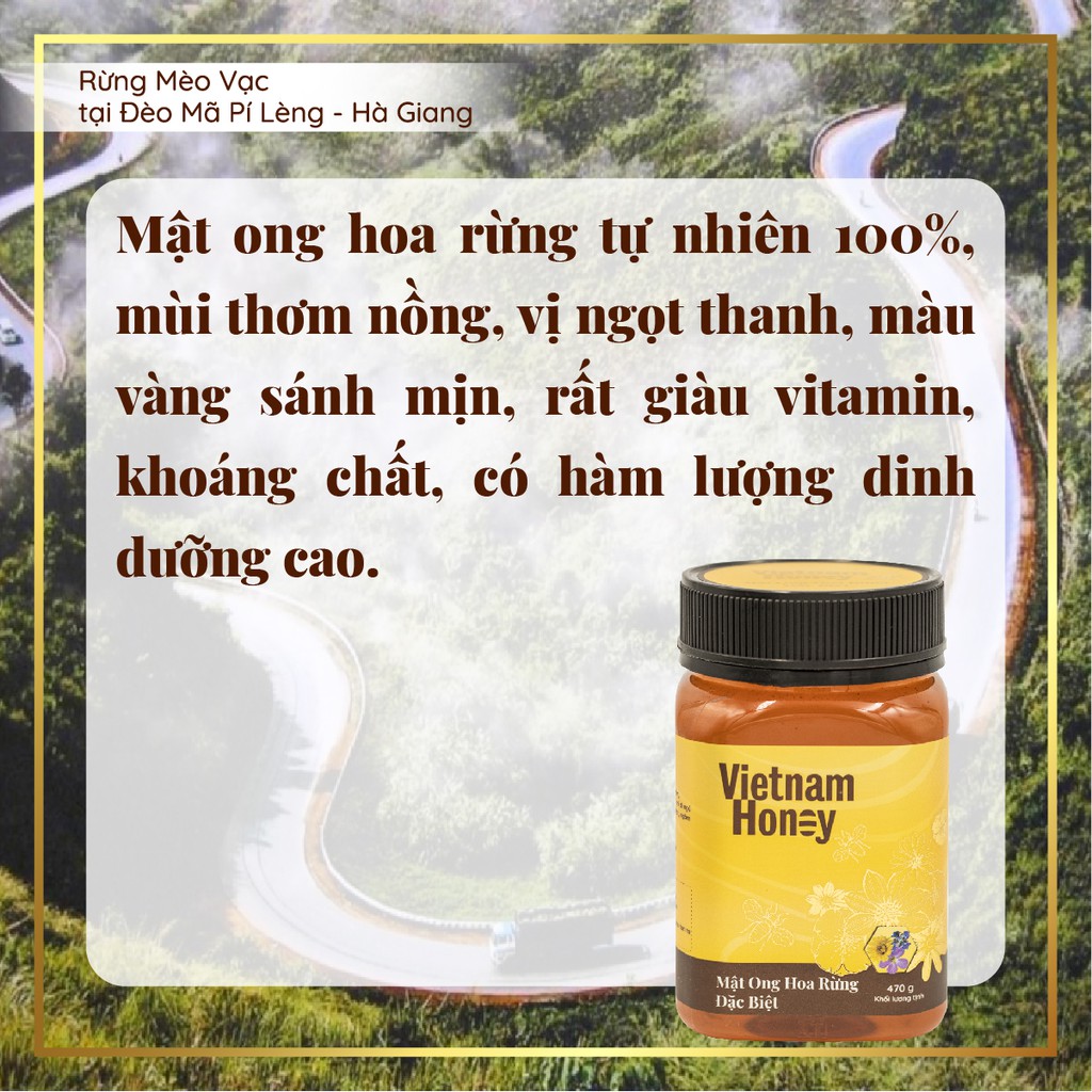 Mật Ong Nguyên Chất, Mật Ong Rừng đặc biệt 470g-Vietnamhoney Beera