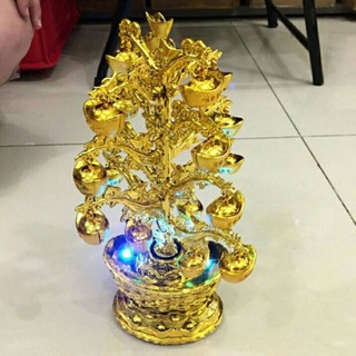 Cây thỏi vàng tài lộc chưng tết