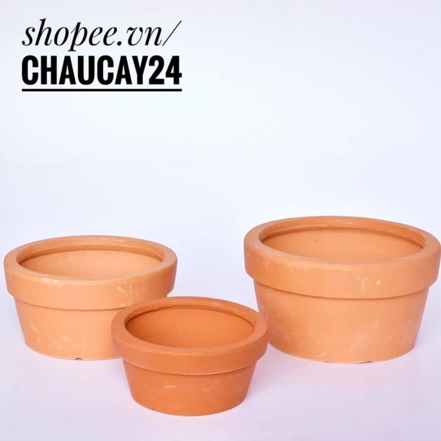 COMBO 5 chậu đất nung 12x6 cm trồng cây cảnh nội thất, sen đá, xương rồng