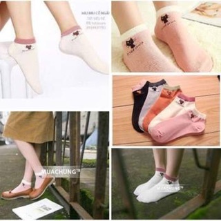 TẤT MÈO CỔ NGẮN