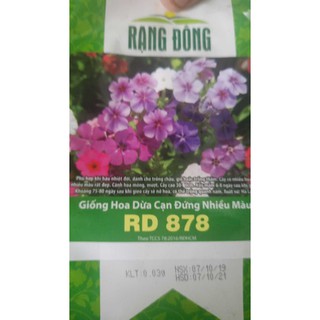 Hạt giống hoa dừa cạn đứng nhiều màu