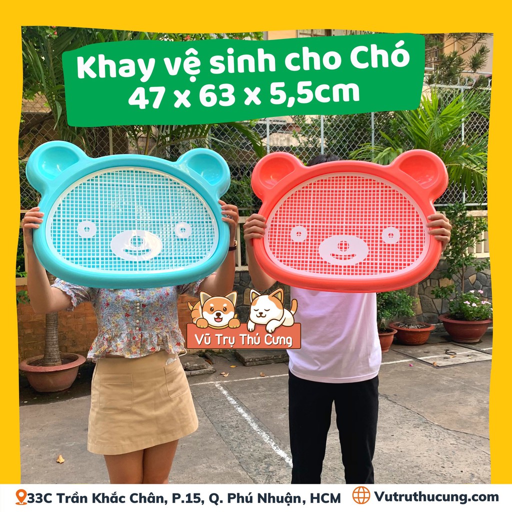 Khay vệ sinh cho Chó size lớn, hình mặt gấu - 47x63x5.5cm, Khay vệ sinh huấn luyện cho thú cưng