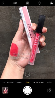 Hồng Cam San Hô - Pink (Dolly)