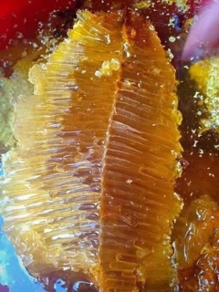 Mật Ong Rừng Chuẩn Xịn