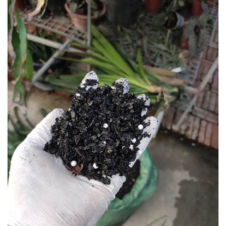 Vỏ đậu hun bịch 01kg