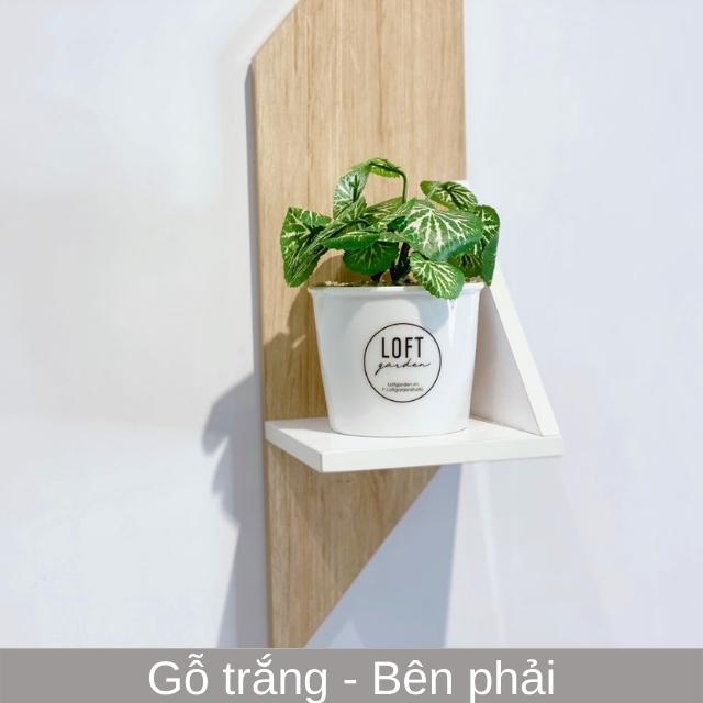 Kệ trang trí treo tường  gỗ mdf hình chiếc lá BENRI SHOP KLA